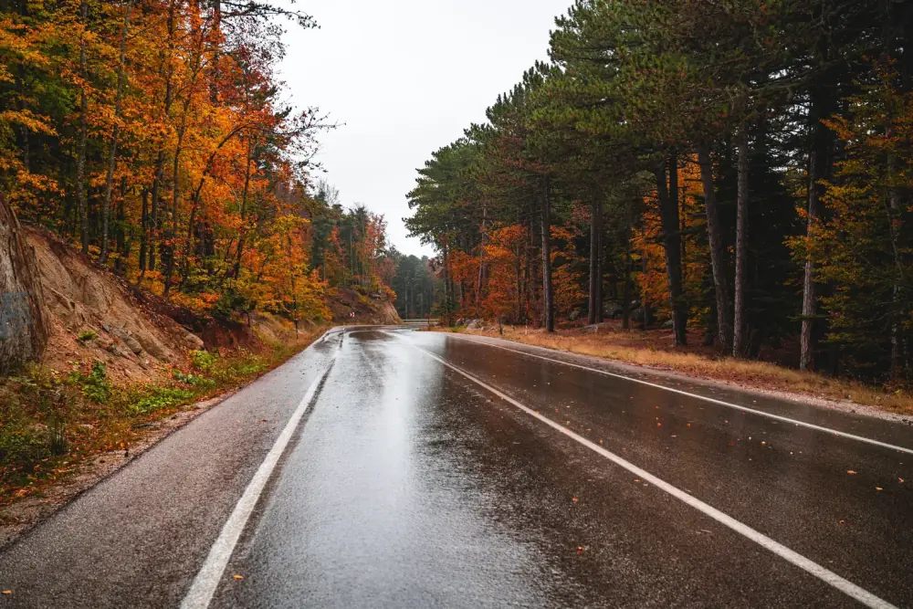 Estrada molhada com o reflexo intenso que se mantém ao usar uma lente sem polarização