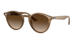 Ray-Ban 2180, cor 616613 · Turtledove