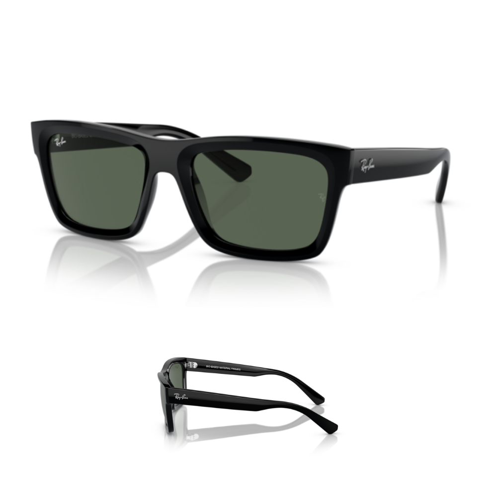 Hastes Ray-Ban 4396 WARREN Originais