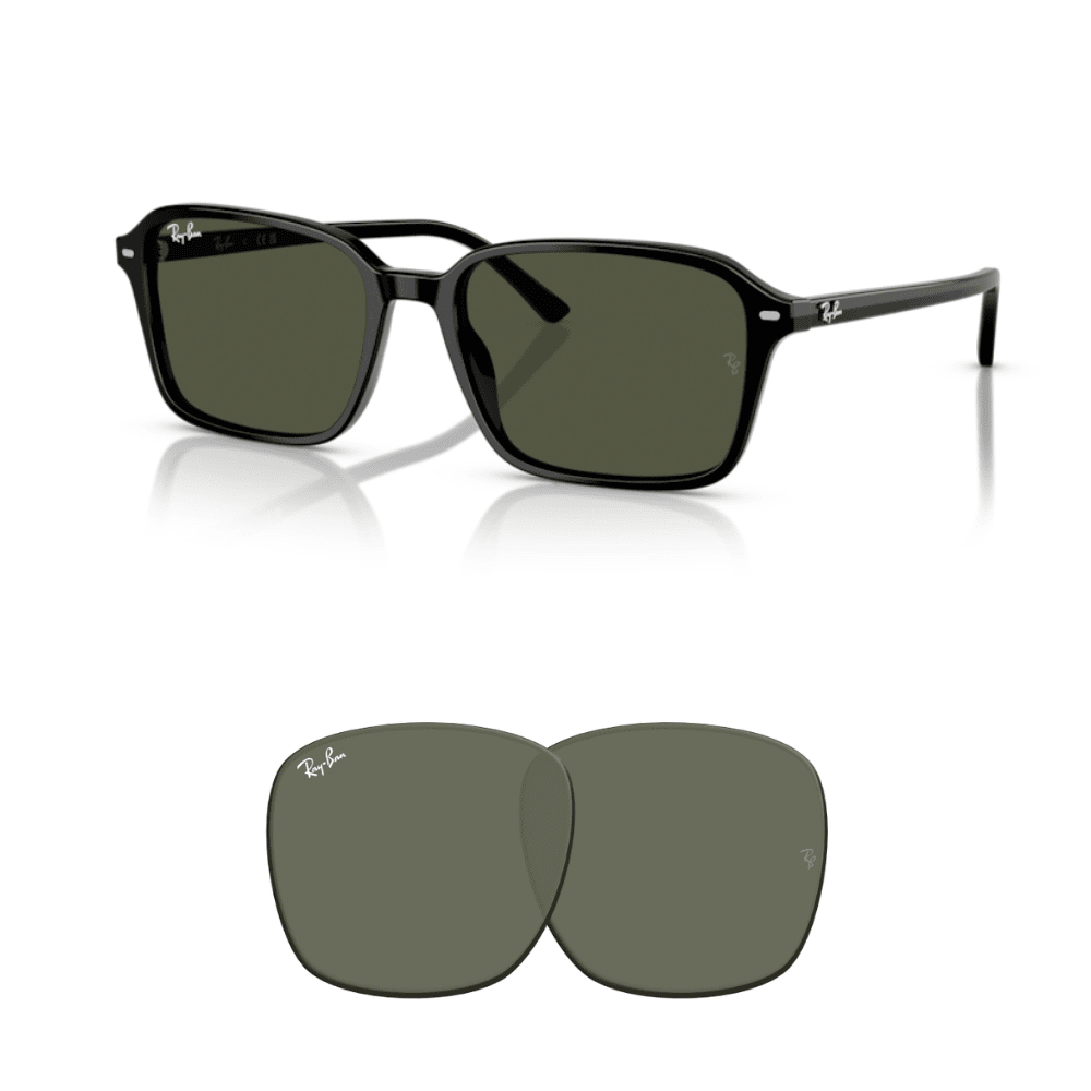 Lentes de reposição Ray-Ban 2231 RAIMOND Originais