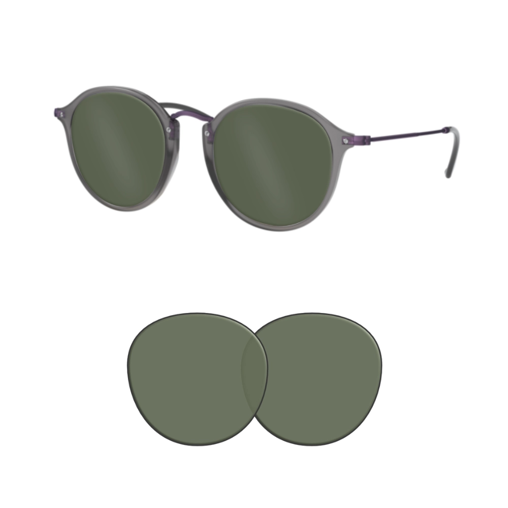 Lentes de reposição Compatíveis Ray-Ban 2447N