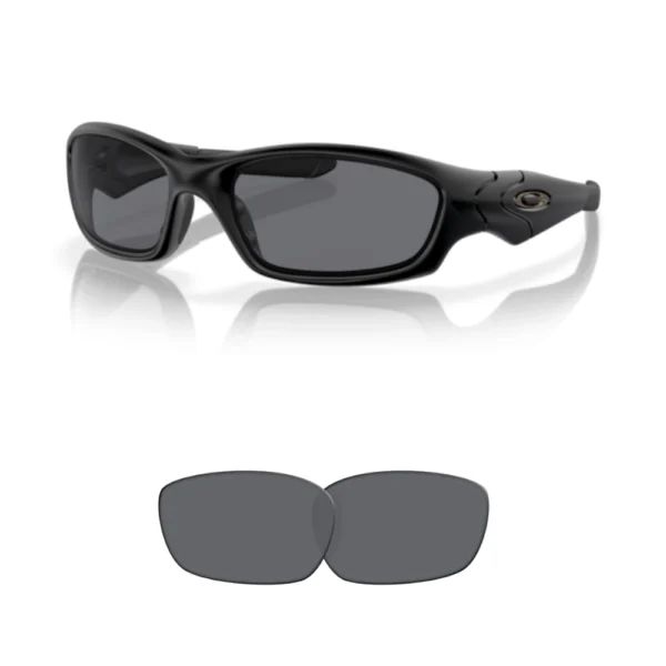 Lentes de reposição Oakley 9039 STRAIGHT JACKET Compatíveis