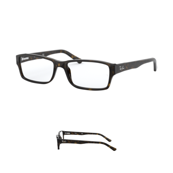 Hastes Ray-Ban 5169 visão Originais