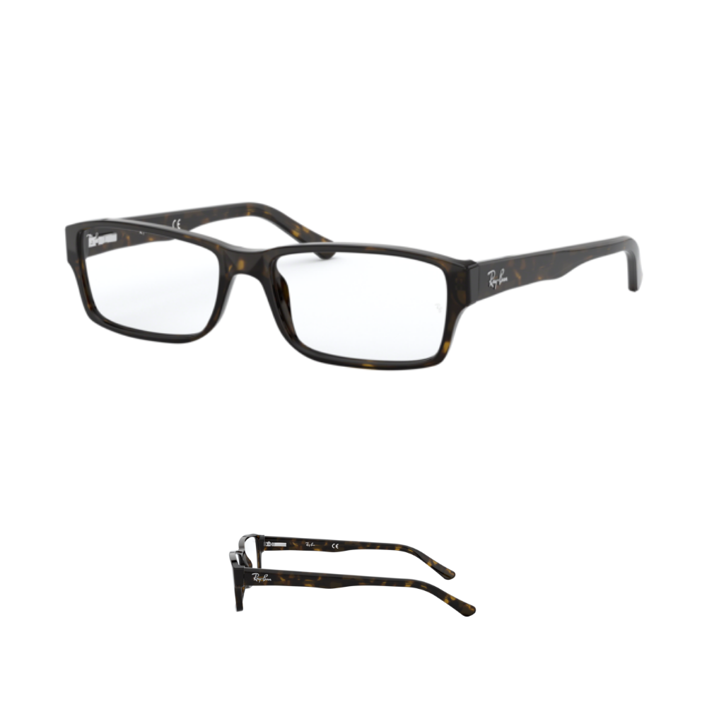 Hastes Ray-Ban 5169 visão Originais