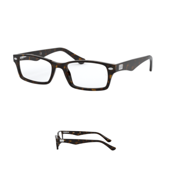 Hastes Ray-Ban 5206 visão originais