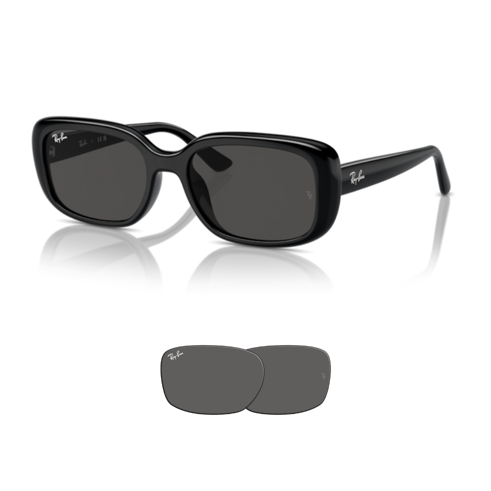 Lentes de reposição Ray-Ban 4421D Originais