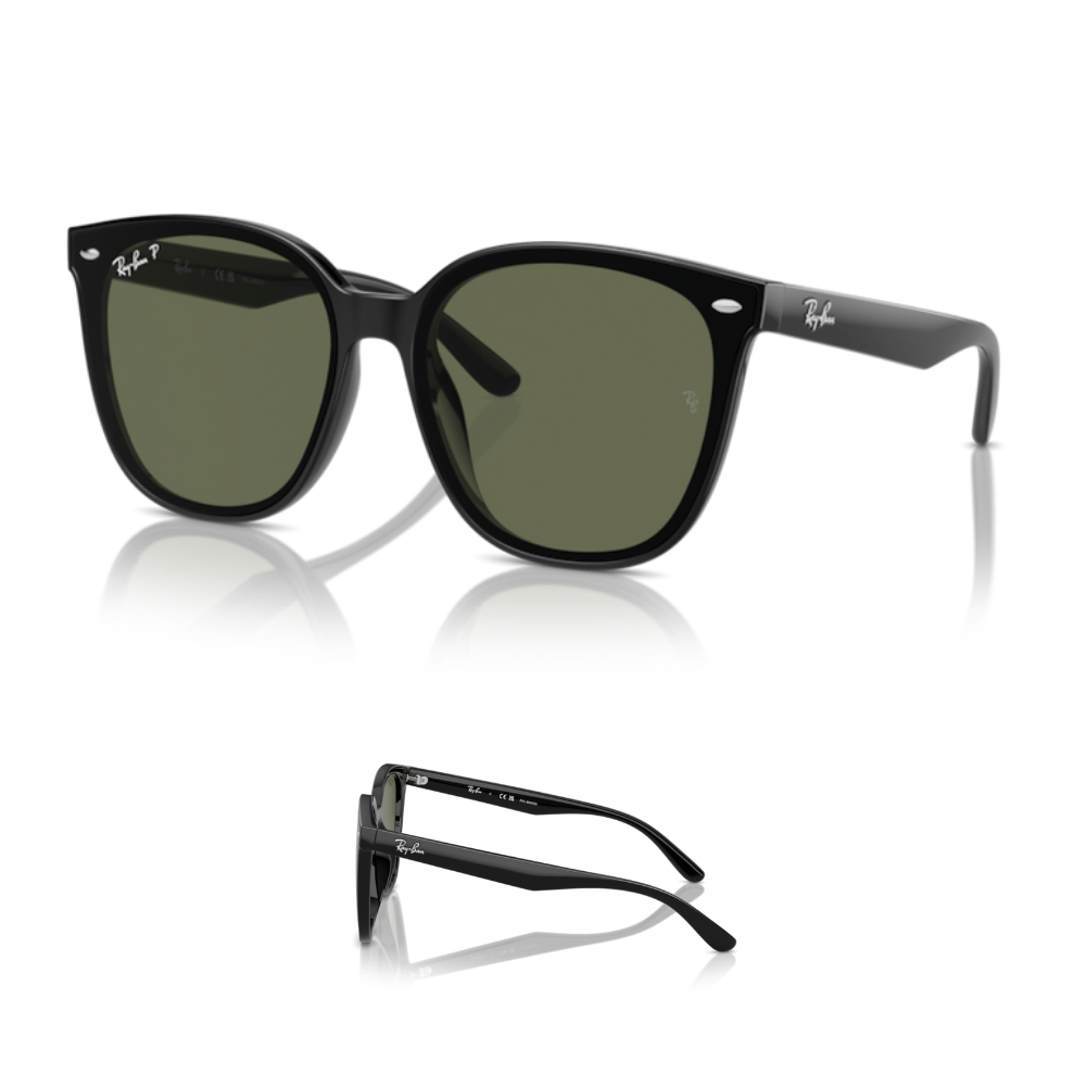 Hastes Ray-Ban 4423D Originais