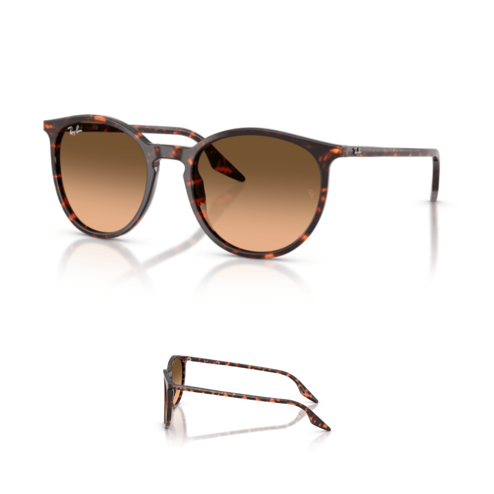 Hastes Ray-Ban 2204 Originais