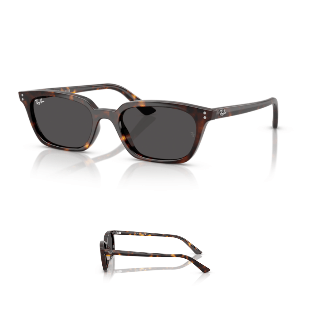 Hastes Ray-Ban 4456 ZAYA Originais