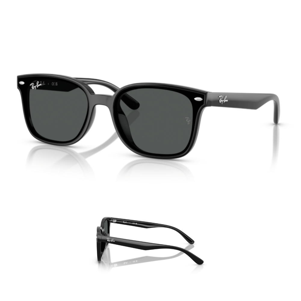 Hastes Ray-Ban 4461D Originais