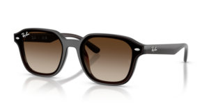 Ray-Ban 4458D, cor 714/13 · Transparente castanho escuro