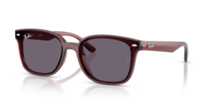 Ray-Ban 4461D, cor 659373 · Transparente castanho escuro