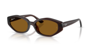 Ray-Ban 4473D, cor 714/83 · Castanho escuro