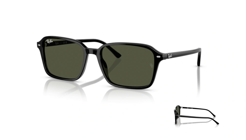 Hastes Ray-Ban 2231 RAIMOND Originais