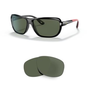 Lentes de reposição Compatíveis Ray-Ban 4365M